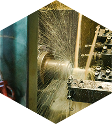 高寒山区云南芸豆1